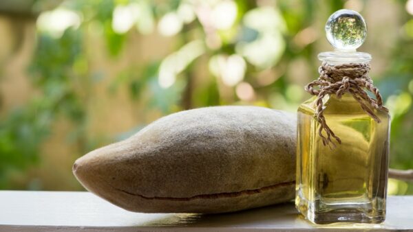 Organic Baobab Oil