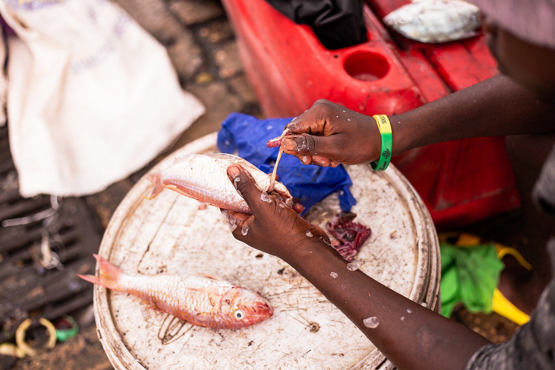 Fish preparation at Kivukoni Fish Market, Dar es Salaam, on 29 April 2026