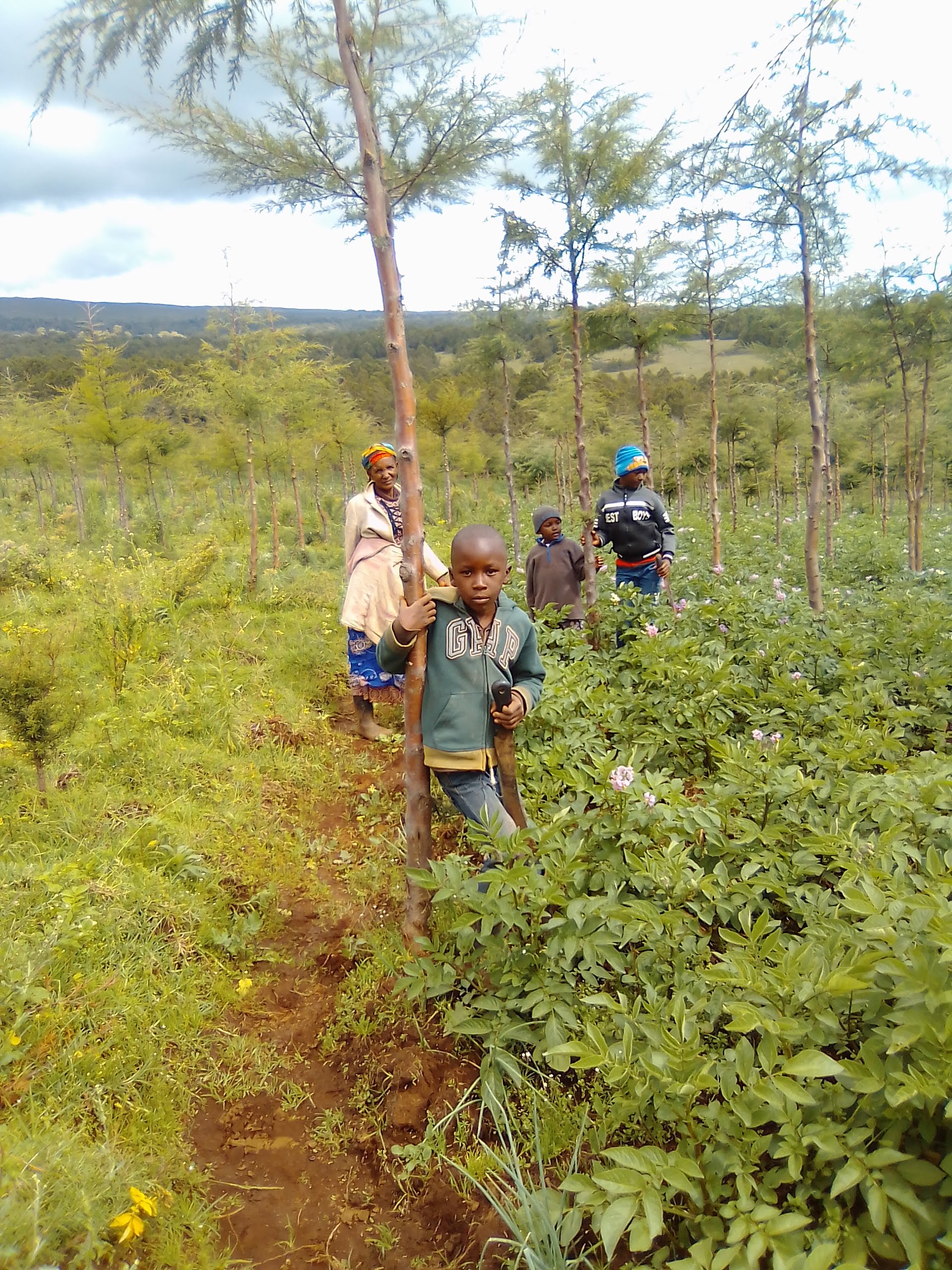A woman and children among crops and trees near Mount Kenya, June 2020; illustrative file photograph, not NFIL participants.