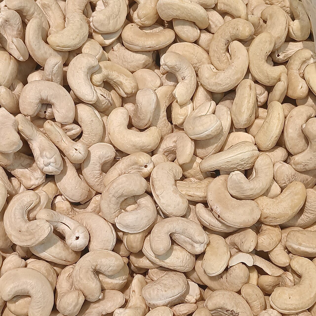 Shelled cashew kernels photographed on 21 July 2024; illustrative, not the raw-in-shell lots sold at Tanzania’s 2026 auctions.